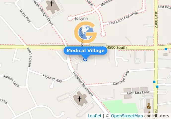 Medical Village