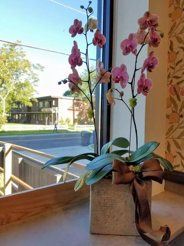 Amour Café