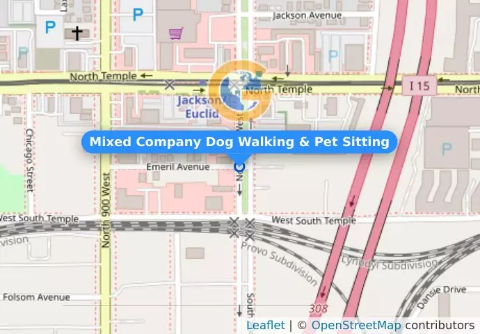 Mixed Company Dog Walking & Pet Sitting