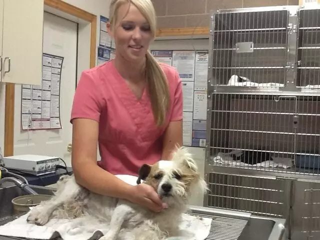 At Home Veterinary Care of Utah