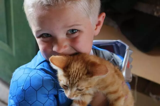 At Home Veterinary Care of Utah