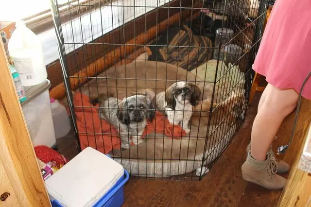 At Home Veterinary Care of Utah
