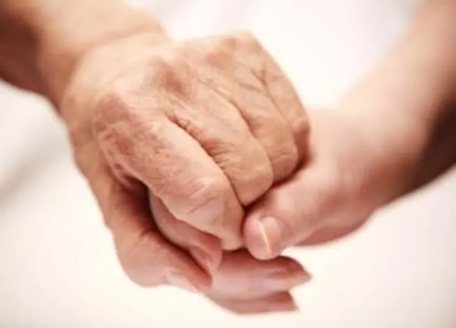 Beehive Senior Care