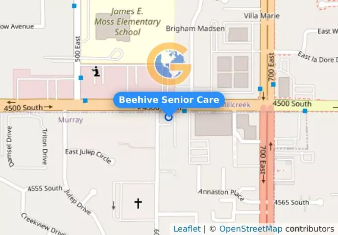 Beehive Senior Care