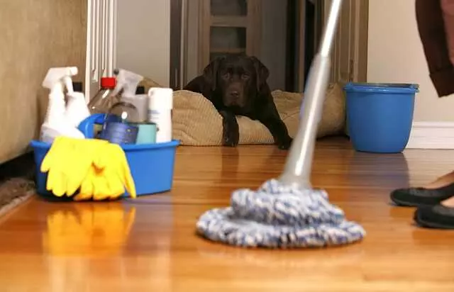 A-1 Custom Cleaning Specialist