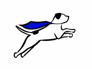 Superhero Dog Academy