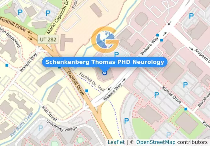 Schenkenberg Thomas PHD Neurology