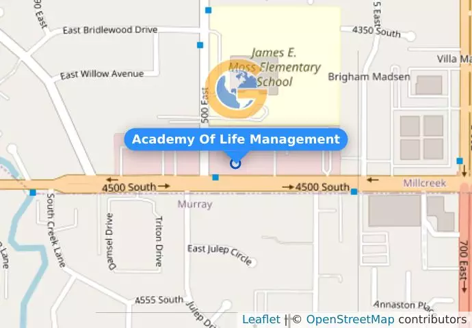 Academy Of Life Management