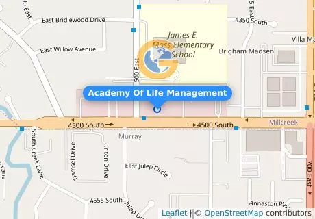 Academy Of Life Management