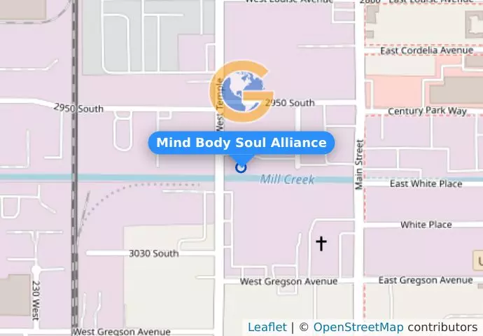 Mind Body Soul Alliance