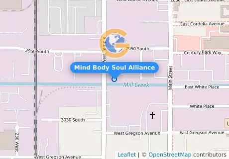 Mind Body Soul Alliance