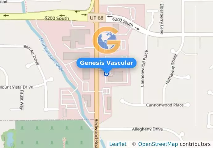 Genesis Vascular