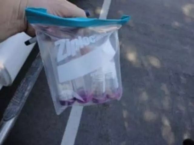 Apple Environmental
