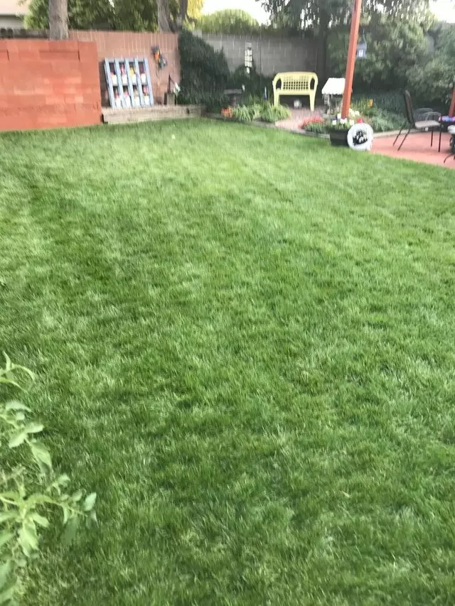 White Hat Lawn Care