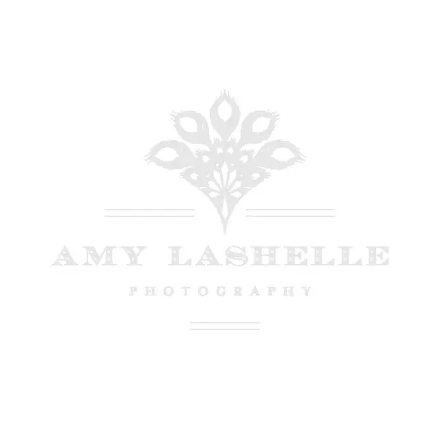 Amy Lashelle Photography