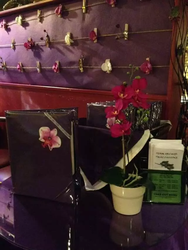 Siam Orchid By Dow