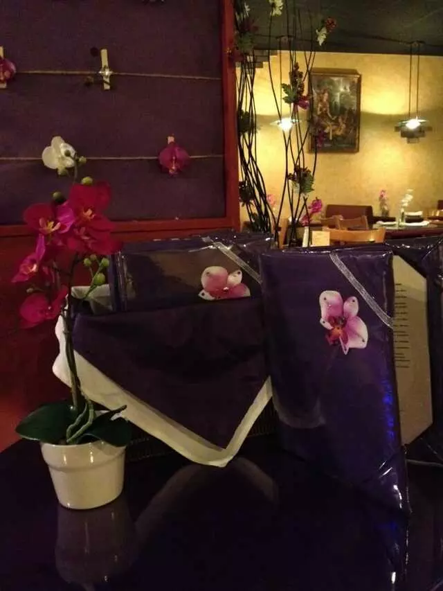 Siam Orchid By Dow