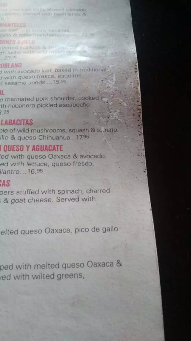 Alamexo