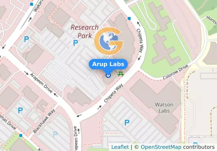 Arup Labs