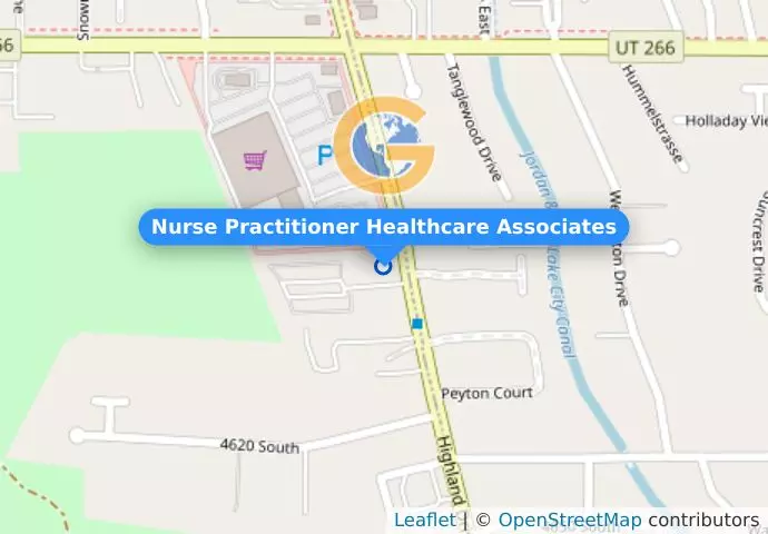 Nurse Practitioner Healthcare Associates