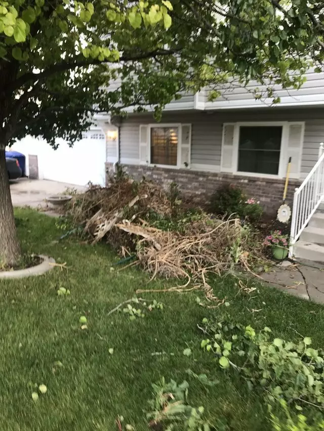 Trims Lawn Care