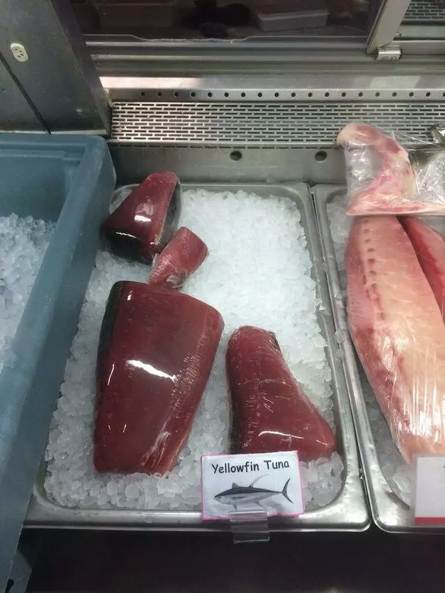 Aquarius Fish Co