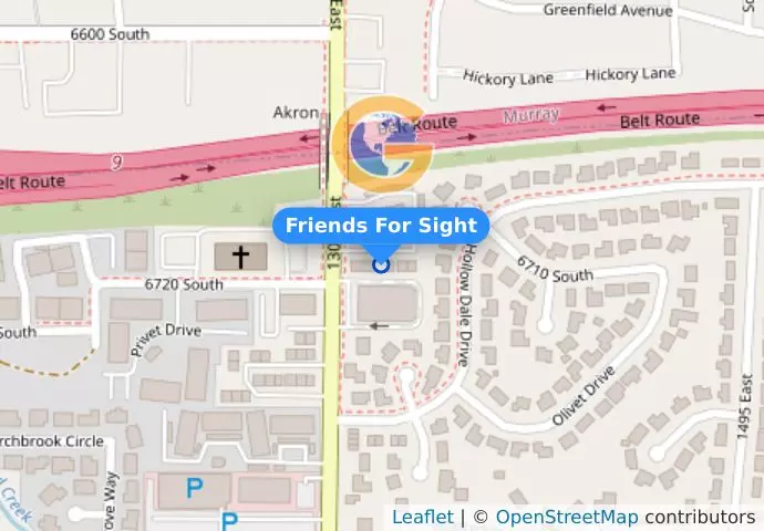 Friends For Sight