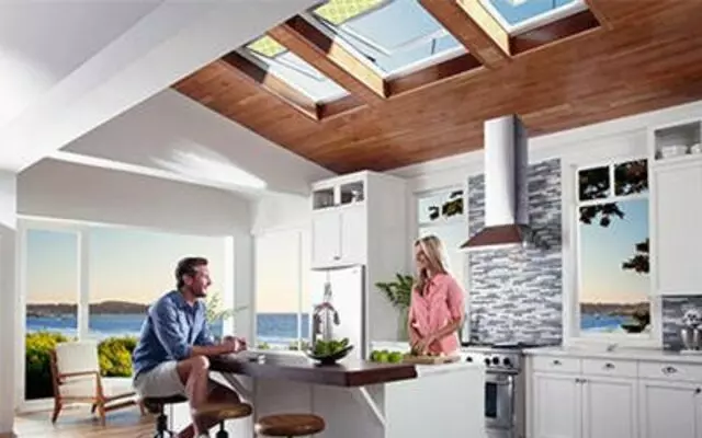 Aladdin Industries Skylights