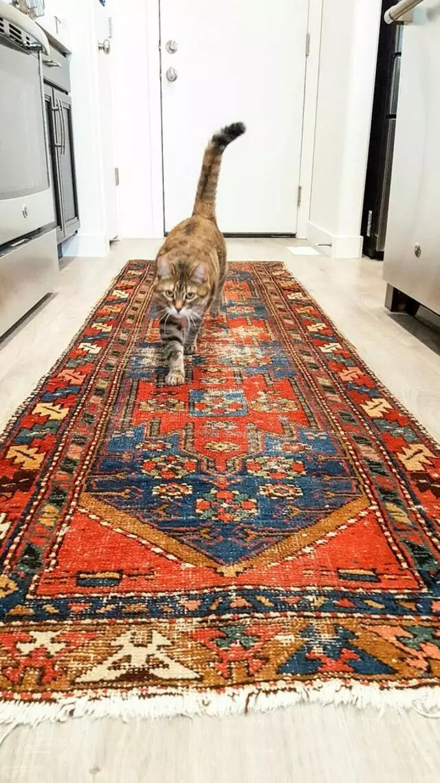 Adib’s Rug Gallery